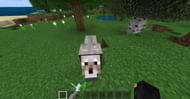 An image of a player with their pet dog in Minecraft. (Image via Minecraft)
